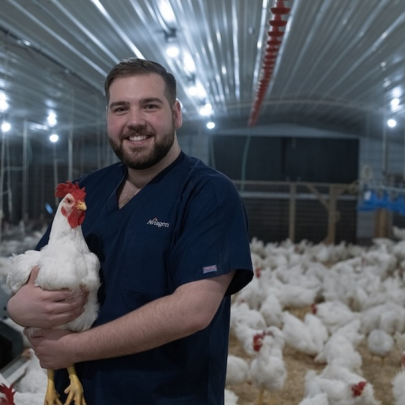 Man holding white chicken 800x600