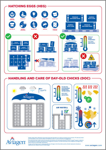 Air Freight Poster