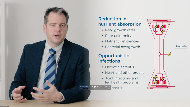 Gut Health Presentation by Richard Bailey 