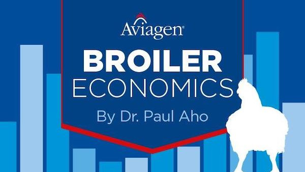 Broiler Economics: Drought Scare Over but Volatile Prices Remain, August 2023