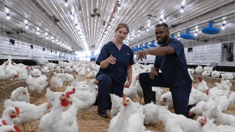 Careers that help feed the world – Part 1: Where science meets purpose