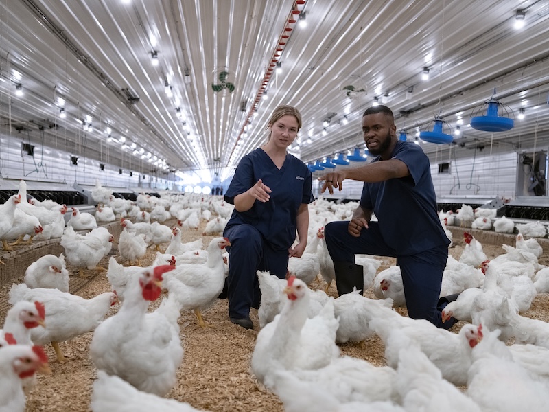 What if your career could help feed the world?
