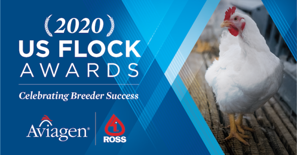 2020 Flock Awards