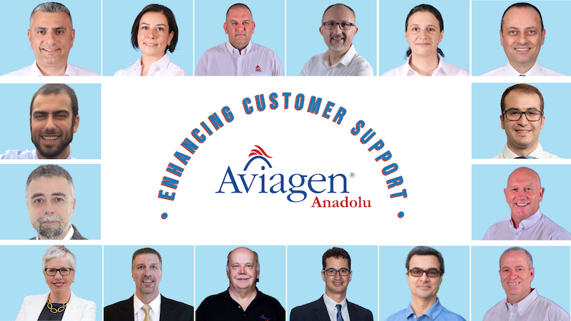 Aviagen Anadolu Team Enhances Customer Support with Breeder and Broiler Webinars