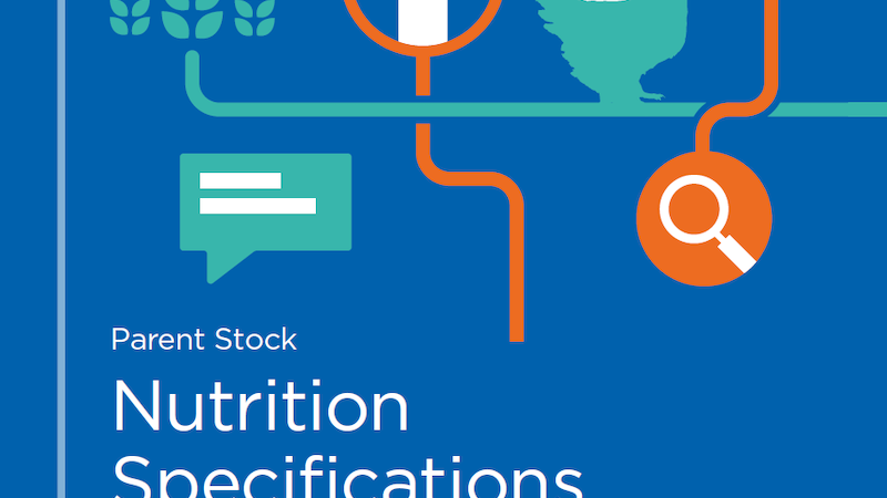 Aviagen Launches New 2021 Parent Stock Nutrition Specifications