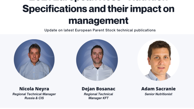 Aviagen Kft Hosts Webinar to Explore New Ross European Parent Stock Nutrition Specifications and Performance Objectives with Customers