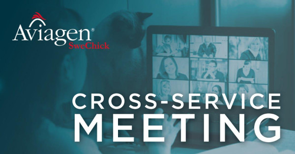 SweChick Cross-Service Meeting graphic