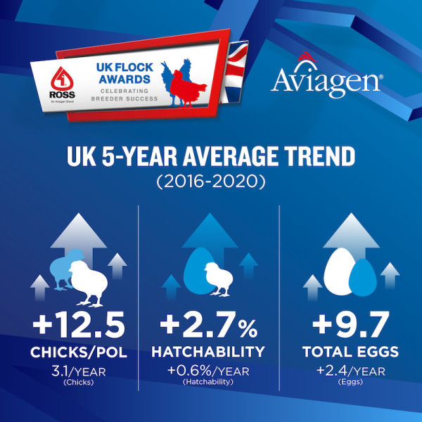 UK Flock Awards 5-Year Average Trend