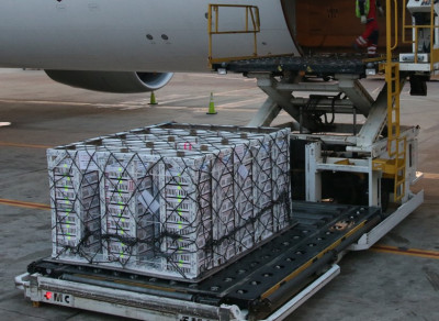 chicks on pallet being loaded on airplane