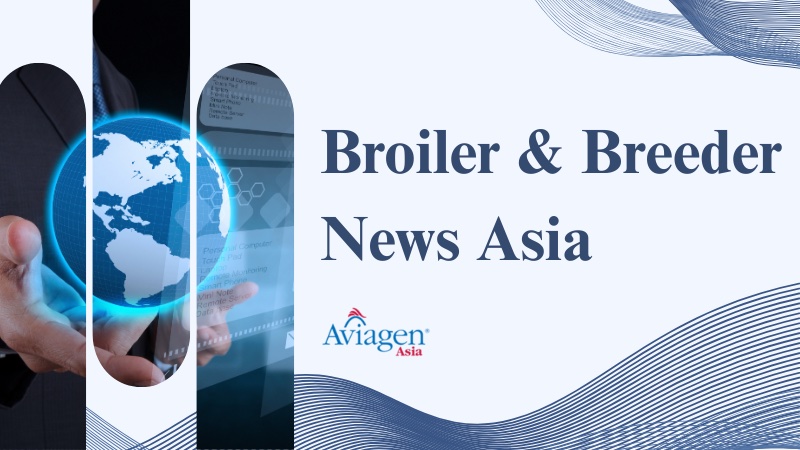 Broiler & Breeder News Asia, 6 – 12 May 2026