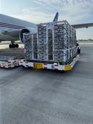 Shipment of chicks