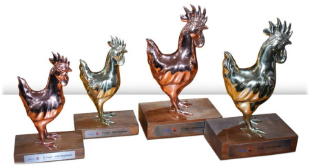 Ross 308 AP Awards