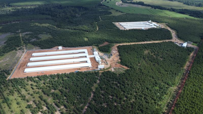 Aviagen invierte US$ 35 Millones para fortalecer la seguridad de abastecimiento en Brasil