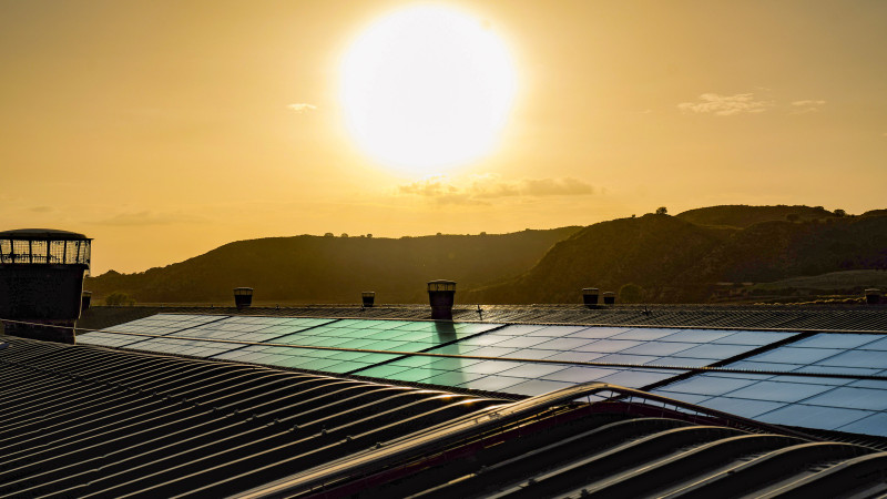 Incorporando la Sostenibilidad al Progreso Cotidiano: Aviagen lanza Informe de Sostenibilidad 2024