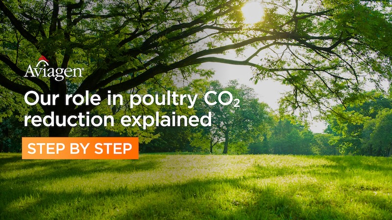Our role in poultry CO2 reduction explained