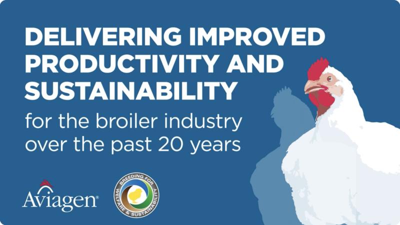 Delivering Improved Productivity and Sustainability for the Broiler Industry Over the Past 20 Years