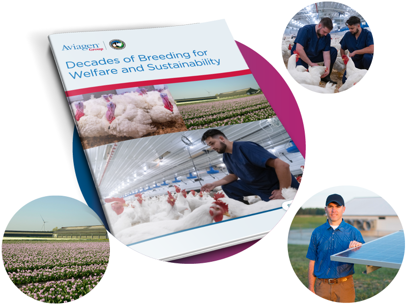 Breeding for Welfare and Sustainability Report